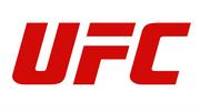 UFC Championship